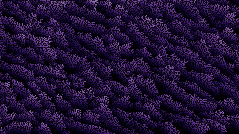 Motif Coral Purple : ramifications violettes et améthyste sur fond noir